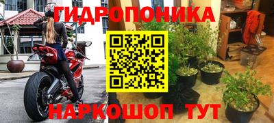 дурь Тара
