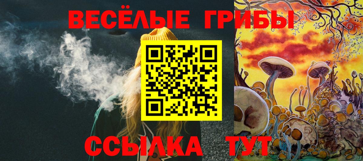 Михайловка  наркотики  Вход с VPN  Псилоцибиновые грибы GOLDEN TEACHER  Псилоцибиновые грибы Magic Shrooms 