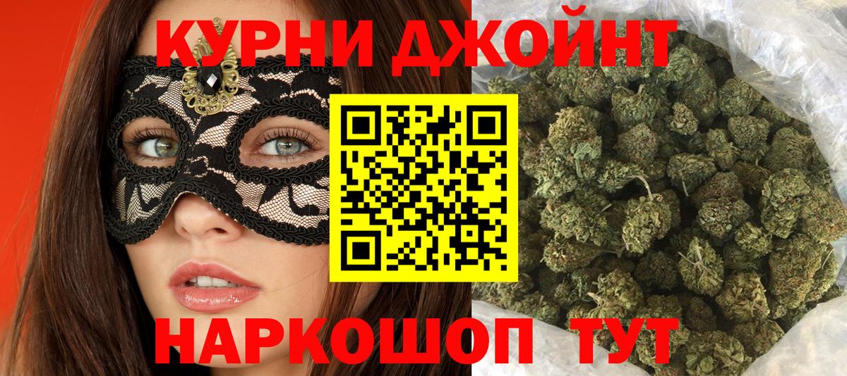 Канабис сатива Михайловка